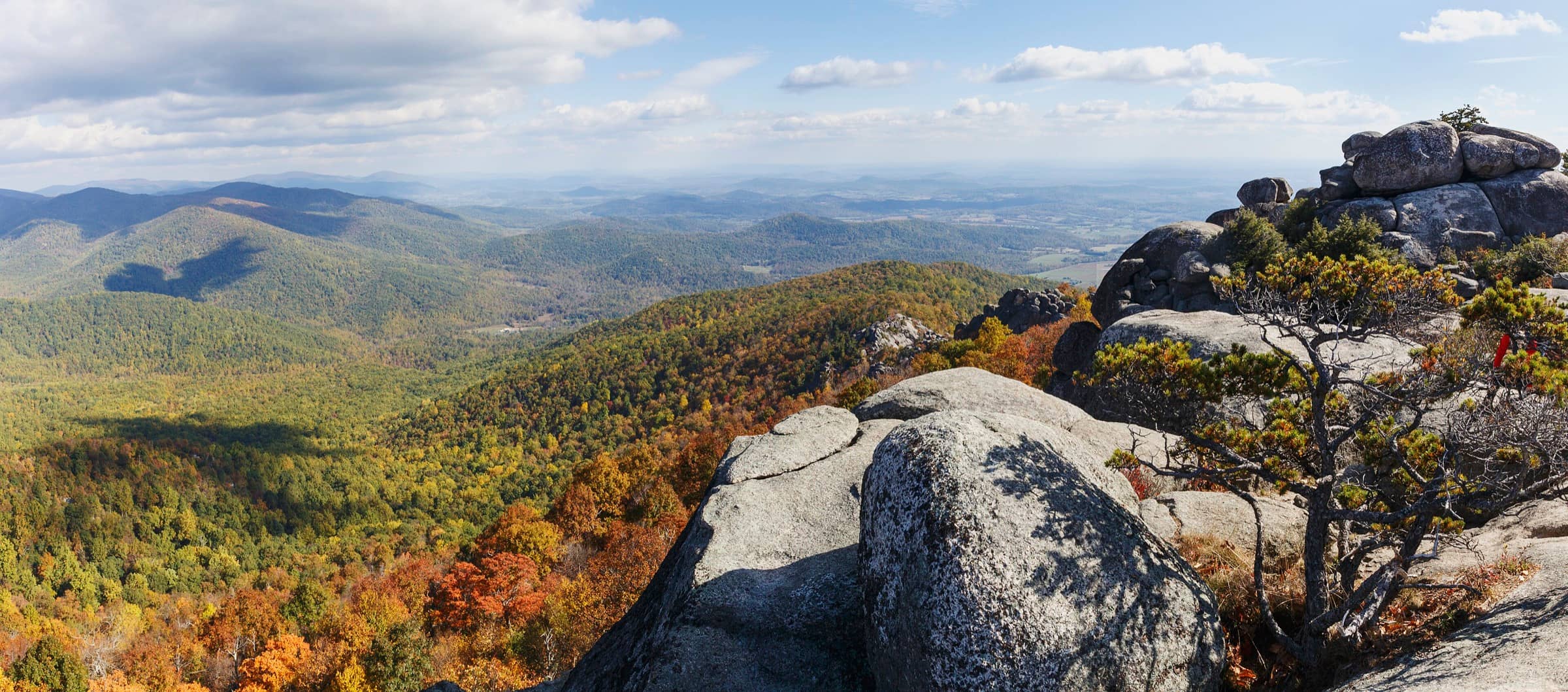 View from the granite boulders on top of Old Rag Mountain over forested Blue Ridge hills in autumn colors, with a gnarled pine in the foreground and a partly cloudy sky.
